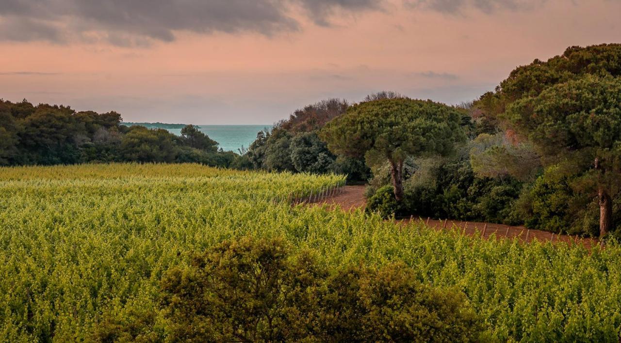 Masseria Mongio Dell'Elefante โอตรันโต ภายนอก รูปภาพ