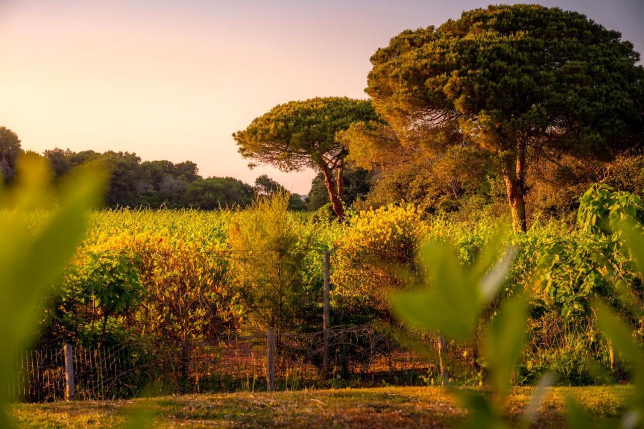 Masseria Mongio Dell'Elefante โอตรันโต ภายนอก รูปภาพ