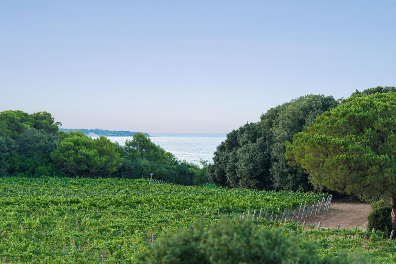Masseria Mongio Dell'Elefante โอตรันโต ภายนอก รูปภาพ